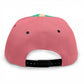 Well Dressed Well Paid Snap Back